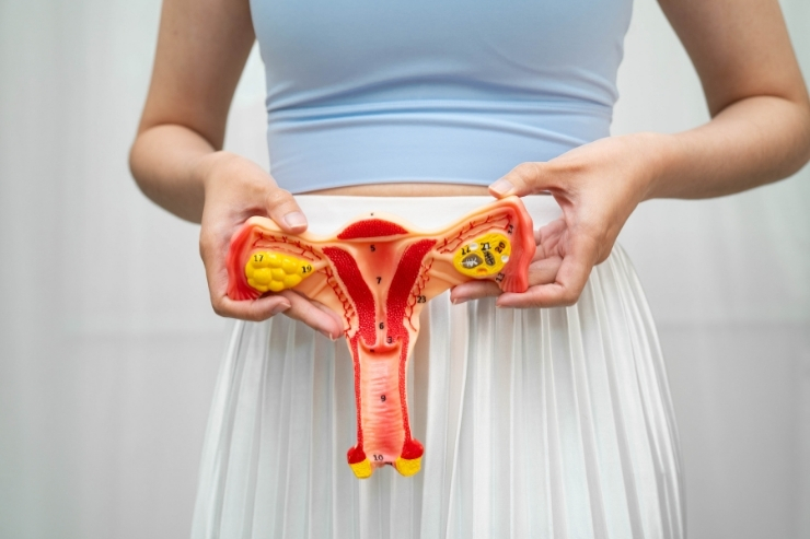 Endometritis Treatment